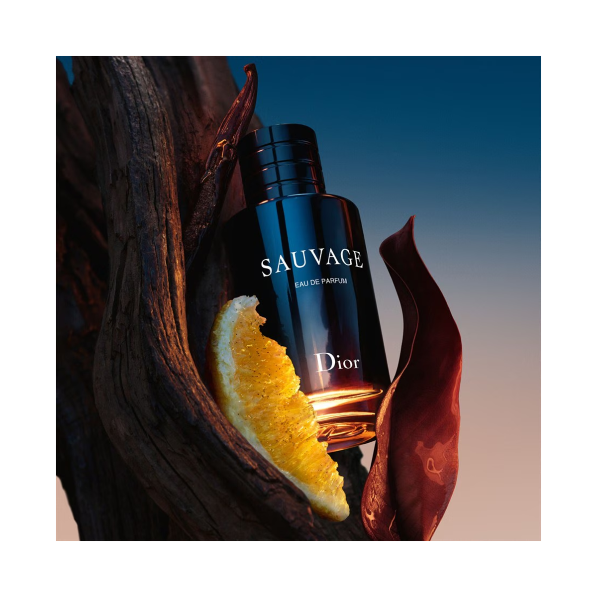 Dior Sauvage Eau de Parfum